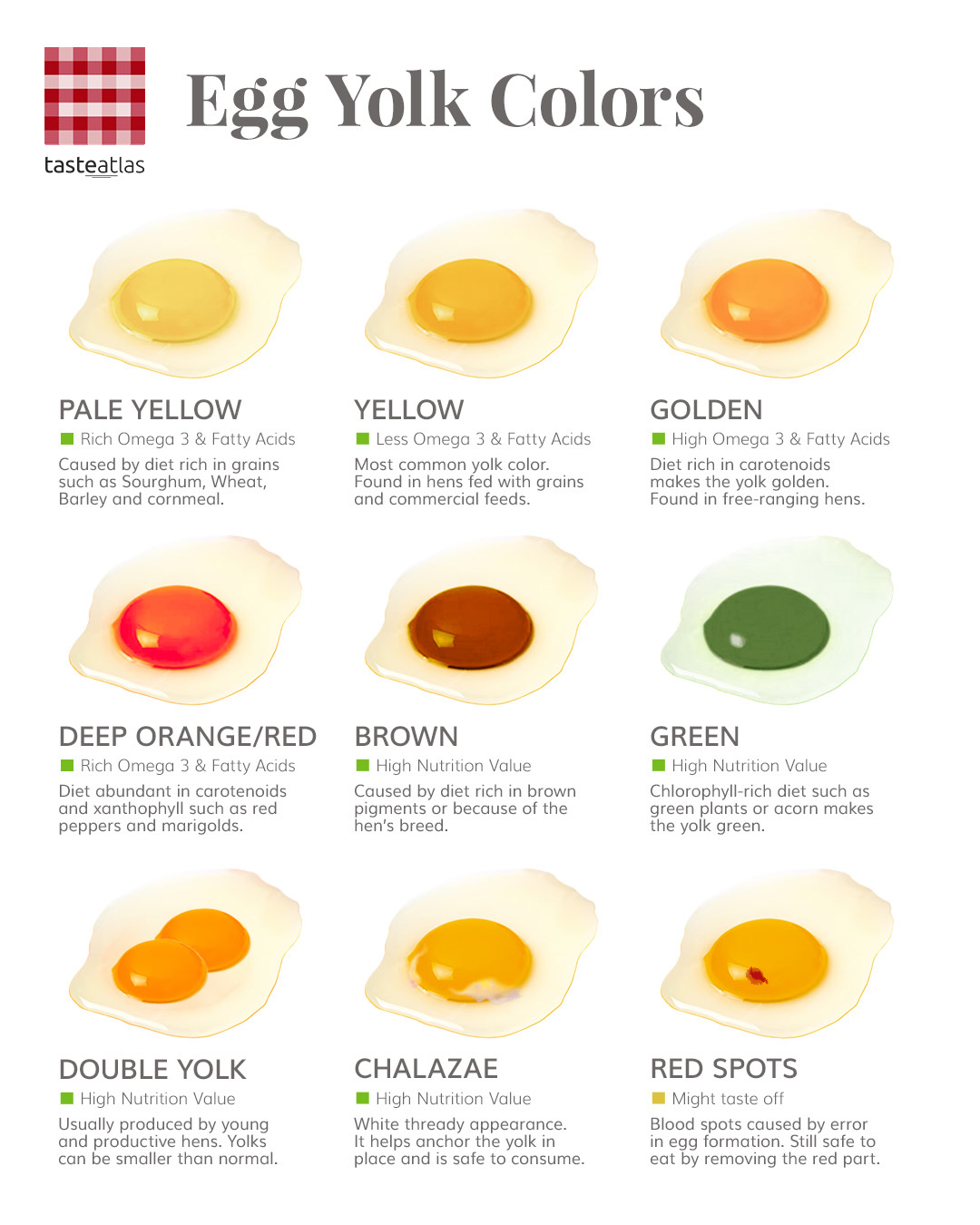 Different Egg Yolk Colors