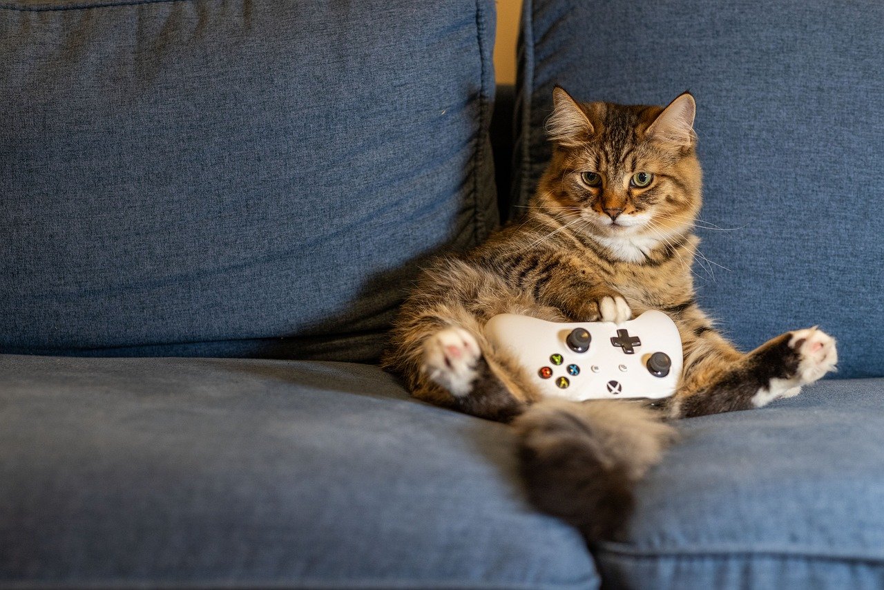 Cat sitting with X-box controller